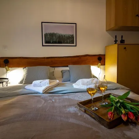 Talija Apartamento Pirot