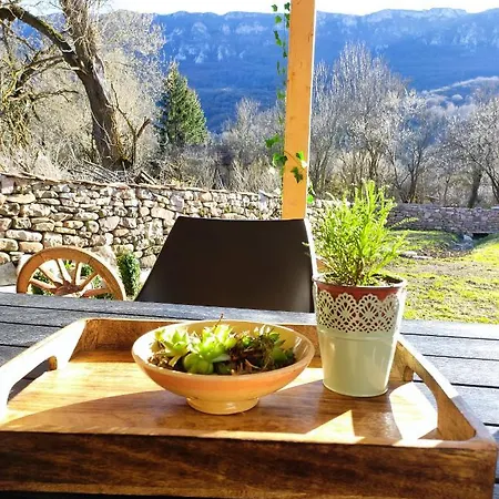 Talija Apartamento *